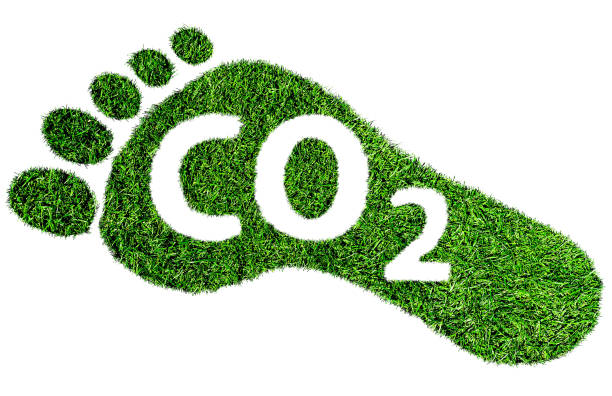 Read more about the article 10 Easy Ways to Reduce Your Carbon Footprint at Home