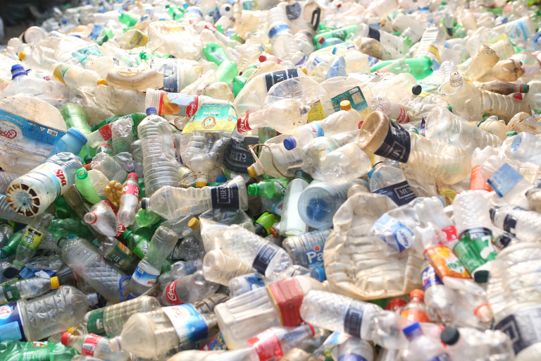Read more about the article The Hidden Dangers of Single-Use Plastics and Alternatives